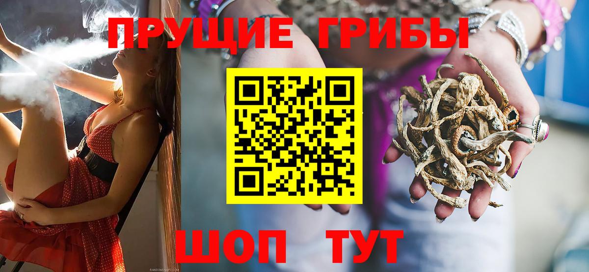 магазин продажи наркотиков  Псилоцибиновые грибы GOLDEN TEACHER  Вход с VPN  Можга 